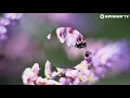 Paul Woolford - Hang Up Your Hang Ups (CamelPhat Remix) [Official Lyric Video]