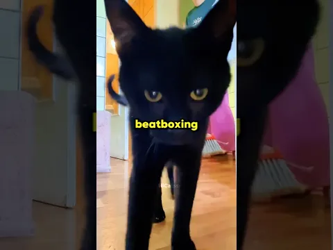 When Your Cat Starts Sneezing 😹😭 #cat #funny