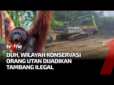 Polda Kaltim Gerebek Tambang Ilegal di Kawasan Konservasi Orang Utan