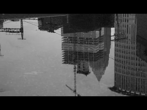 Steel City Bloom