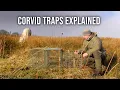 Download Lagu Corvid Traps Explained