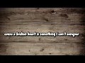 Never tried Cocaine - Travis Bolt (lyrics)
