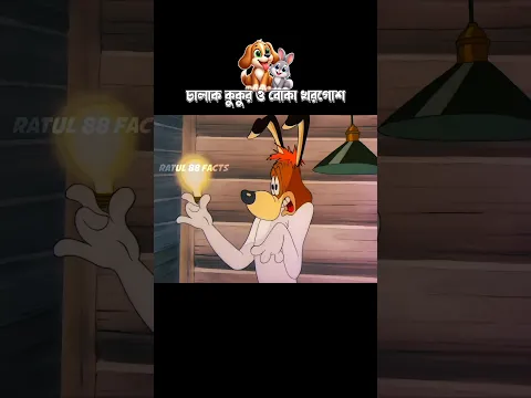 চালাক কুকুর ও বোকা খরগোশ #3danimation #cartoon