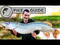 A Beginners Guide To Pike Fishing - Tactics Bait Lures Rigs and Unhooking