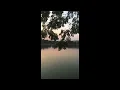 Summertime (ลมแล้ง) - YEW ft. LANDOKMAI