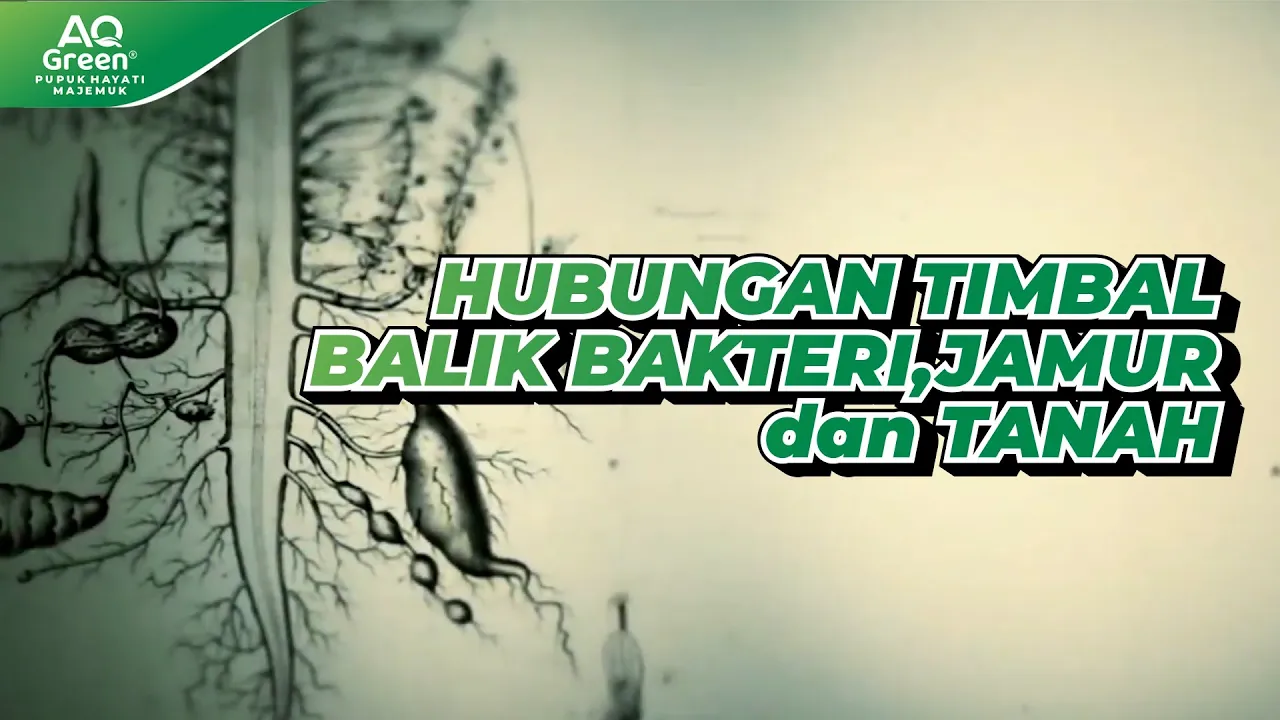 HUBUNGAN TIMBAL BALIK BAKTERI, JAMUR DAN TANAH