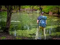 Exploring the Ancient Black Swamps of Ohio Backpacking Oak Openings Metro Park