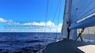 Open waters at last [Ep 113] Sailing Salacia Star