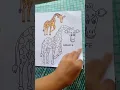 Colouring books of wild animals