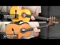 Lagu SOUND TEST: Yamaha CG182SF vs. Cordoba F7 Paco - Which Flamenco Guitar Sounds Better?!