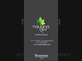 Head Neck and Back Massage Pain Relief Massage Nayana Spa Ajman Best Spa UAE Best Spa