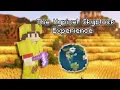 The Hypixel Skyblock Experience