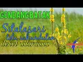 Download Lagu Gondang Batak Sitalasari |toluSahundulan|®©™