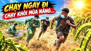 Quanglinhvlogs || Những Ngày Tháng Mong Đợi Nhất Trong Năm Đã Tới ... Bà Con Chạy Đua Với Thời Gian.