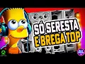 Download Lagu SÓ SERESTA E BREGA TOP 2025 - CD JULHO 2025 - AS MAIS TOCADAS TIKTOK - SELEÇÃO SERESTA PRA PAREDÃO