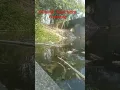 Download Lagu Dibawah tapal batas gombong-karangayar #video #sungai #sampah #kebumen