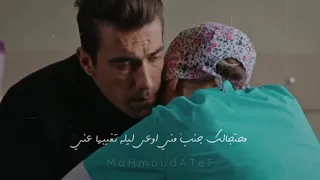 حالات واتس اصالة   بين ايديك     دندنها
