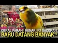 Lagu PASAR BURUNG ! GUDANG KENARI DI OBRALAN SAMPAI 80RB PER EKOR PASAR BURUNG PRAMUKA KIOS BAJANG