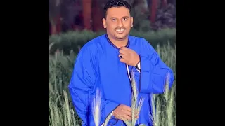 محمود سليم وجع القرايب دندنها