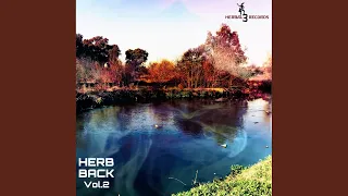 marimba land original mix 