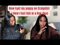 How I got my puppy on Craigslist Lost him in a few days The lesson God had to show me