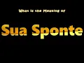 What is the Meaning of Sua Sponte
