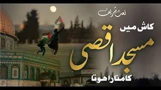 kash main yaro palestine ka basi hota anas nazeer heart touching voice islaahi youth islamic