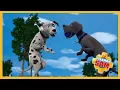 Shadow meet Radar Fireman Sam Dogs Season 12