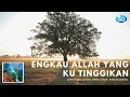 Download Lagu ENGKAU ALLAH YANG KUTINGGIKAN - INDRI SUMARAW (Official Music Video)