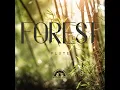 Spirit of the Woods