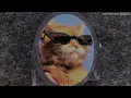 Sopa de Caracol [Letra]