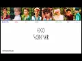 Download Lagu EXO - Forever = Türkçe Çeviri = (Rom/Han/TR/Renk Kodlu)