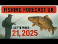 FISHING FORECAST in the UK on September 21 2025 Drop everything and go fishing