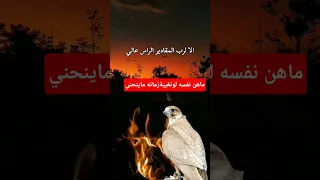 أراس عالي والاوالكرمه مصانة شعر وقصائد اكسبلور دارك شعر شيلات قصيد اغاني Like Trend 