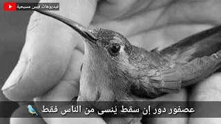 فكيف ينسانى دندنها