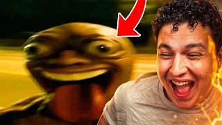 ON REAGIT AUX VIDEOS LES PLUS DROLE D'INTERNET  ✨🫵🏽