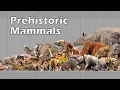 Size Comparison of Animals the Prehistoric Mammals