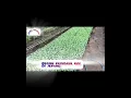 Download Lagu luar biasa pertanian kubis - kol dinegara ini #agriculture #mesin #petani #jepangfarmingkubis
