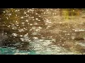Download Lagu øneheart x reidenshi + rain sound 30 minutes - snowfall