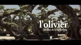 L' olivier - Bande Annonce
