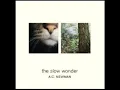 The Town Halo - A.C. Newman