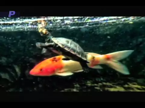 El arte y la tecnología juntos en el Sony Xperia Z5