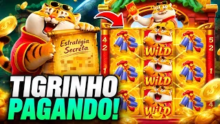 O QUE É O JOGO DO TIGRINHO O QUE É JOGO DO TIGRINHO O QUE É TIGRINHO O QUE É O TIGRINHO TIGER