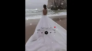 فبدأت رواياتي الاولى حالات واتس اب حب 