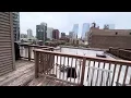 Roof Deck 216 N Halsted St - Fulton Market