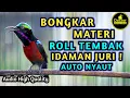 Download Lagu ROLL TEMBAK KONIN GACOR FULL ISIAN LOMBA COCOK UNTUK MASTERAN TEMBAKAN KOLIBRI PASTOL | AUTO NYAUT