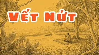 Vết Nứt