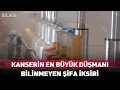 Lagu Kanserin En Büyük Düşmanı! Bilinmeyen Şifa İksiri...