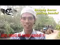 Download Lagu SUPER BANDEL‼️mikat burung kacer paling gokil se-Kalsel..