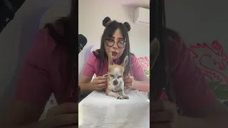Masaje relajante a Don Chente